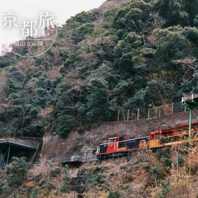 【京都】絶景列車と舟旅で楽しむ、嵐山1日満喫コース