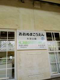 函館駅から少し足を伸ばして、大沼へ