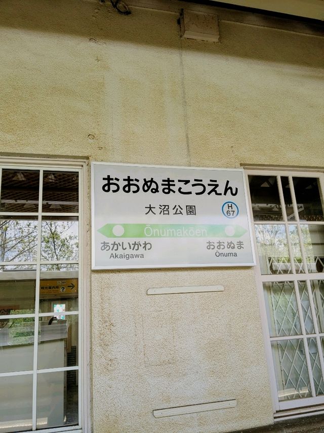 函館駅から少し足を伸ばして、大沼へ