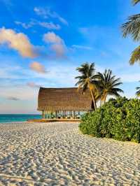 🌴 Angsana Velavaru Maldives: A Vibrant Escape into Barefoot Luxury