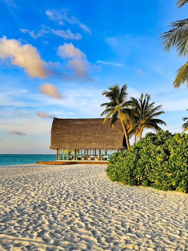 🌴 Angsana Velavaru Maldives: A Vibrant Escape into Barefoot Luxury