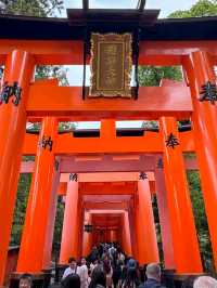 Walk the Path of a Thousand Torii at Fushimi Inari Taisha