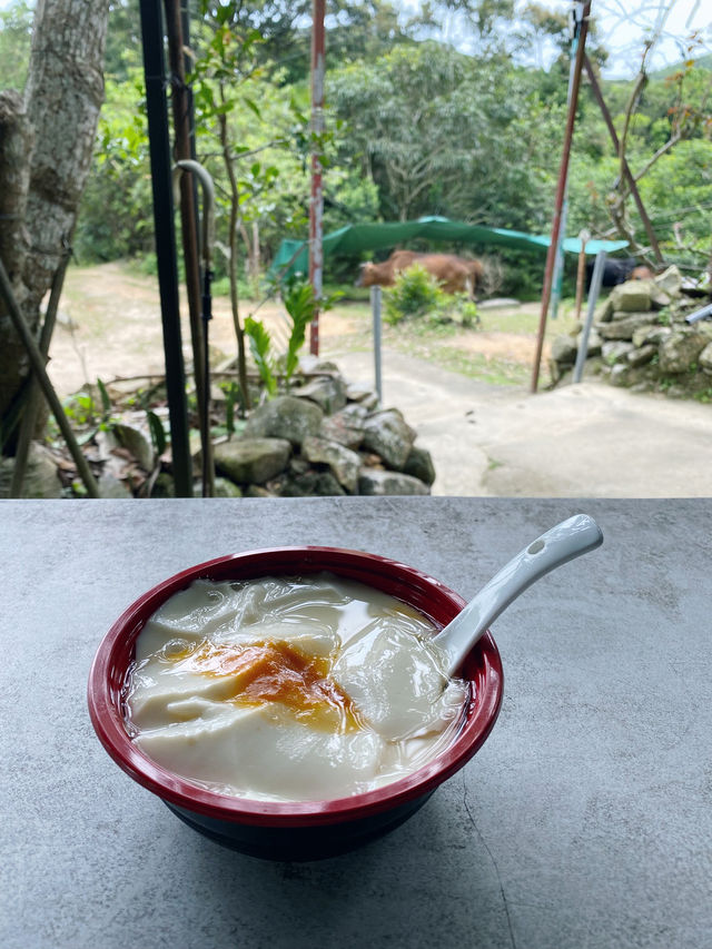 香港｜去嶂上營地吃一碗豆腐花🏕️
