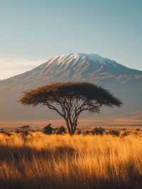 Mount Kilimanjaro – Tanzania