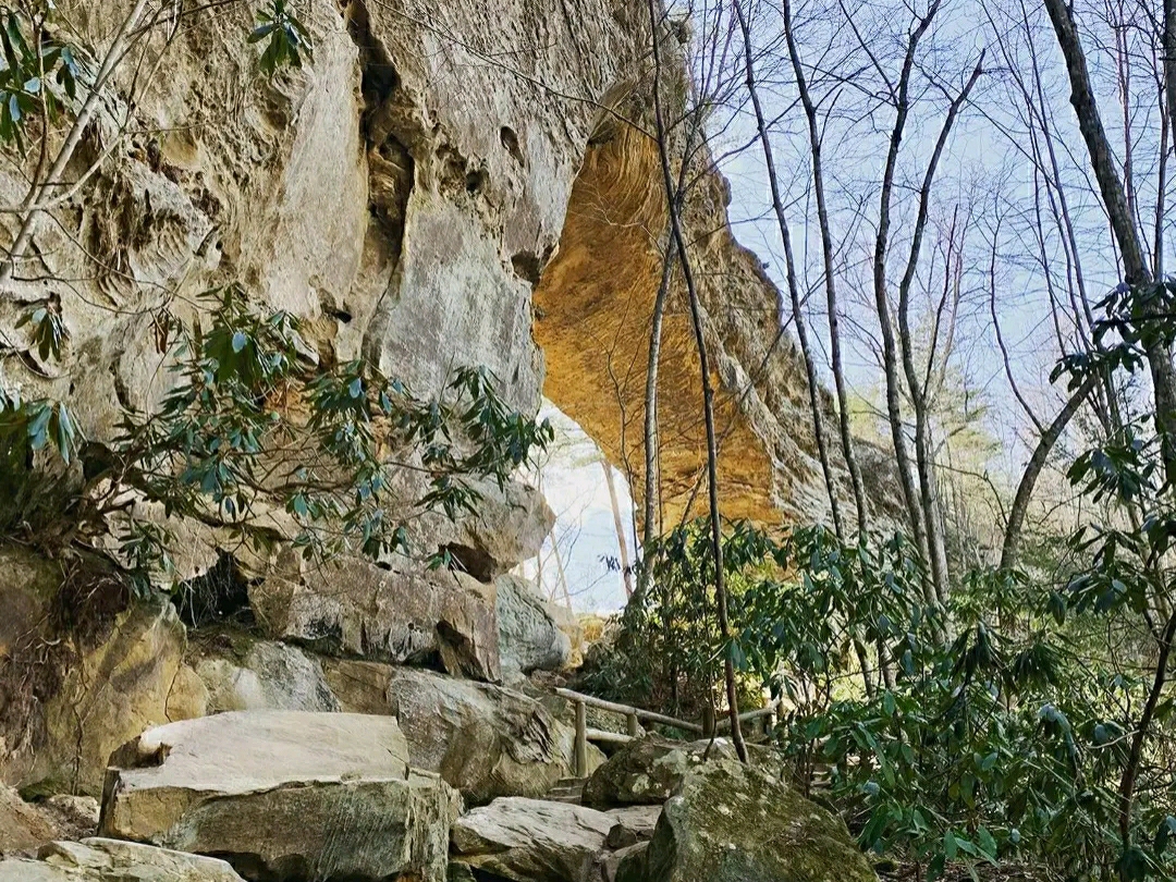 เคนทักกี: ดินแดนมหัศจรรย์แห่งธรรมชาติที่ Red River Gorge