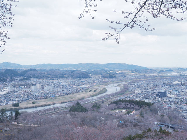 東京至東北攻略：船岡公園賞櫻