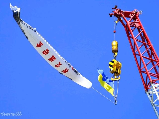 【埼玉県】世界一大きなジャンボこいのぼりが空を舞う！