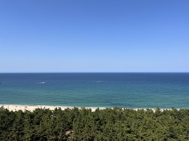 시원한 바다 뷰를 볼 수 있는 강릉 세인트존스호텔 골져스 오션 트윈룸🌊