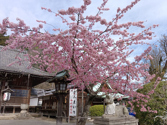 京都旅行　嵐山公園