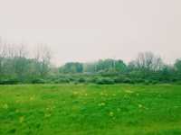 Camping at Niagara Falls : Nature Escape
