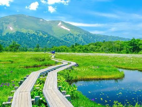 ♨️ 温泉パラダイス！自然も文化も満喫できる群馬県へ