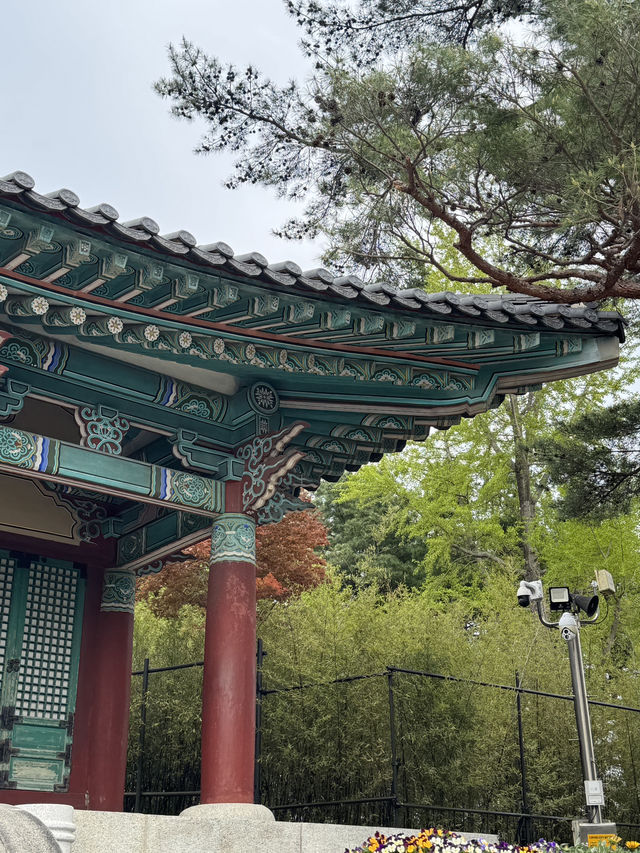🌊 역사와 바다가 공존하는 도시, 강릉 산책기 🖋️🏖️