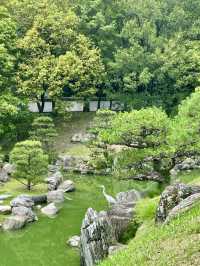 Relaxing Stroll in Tokushima 🏞️🌸