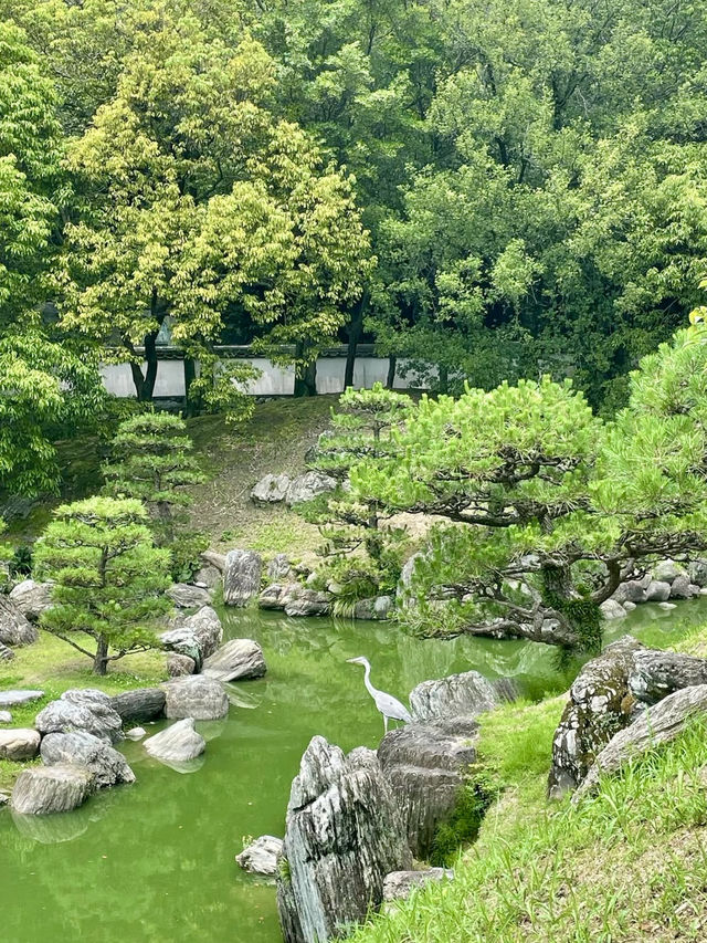 Relaxing Stroll in Tokushima 🏞️🌸