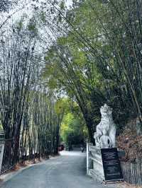 Favorite short hike in chiang mai