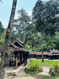 Favorite short hike in chiang mai