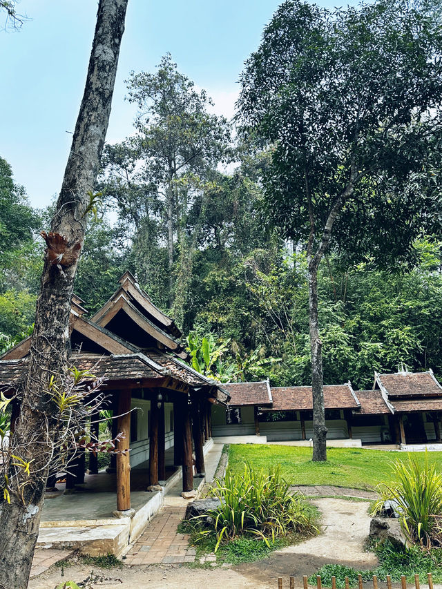 Favorite short hike in chiang mai
