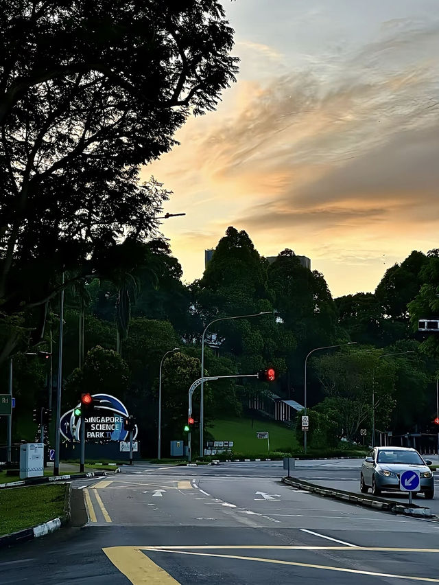 สิงคโปร์🇸🇬