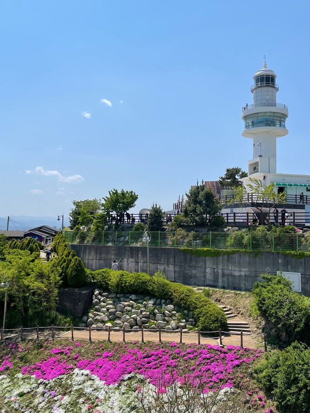 🌊 묵호에서 망상까지 바다 따라 걷는 동해의 하루