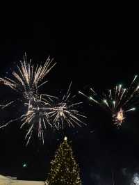 【フィンランド🇫🇮】年越し！ヘルシンキ！花火🎆