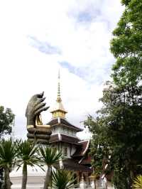 วัดป่าดาราภิรมย์ วัดสายป่าสวยสงบห้ามพลาด