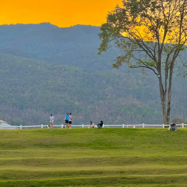 สถานที่ดูแสงเย็น ในเมืองเชียงใหม่ Vibesโคตรดี 🌳🧡