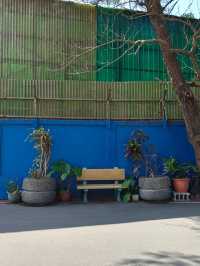 Ride Sharing to the Rainbow: Zhengbin Port Color Houses Adventure