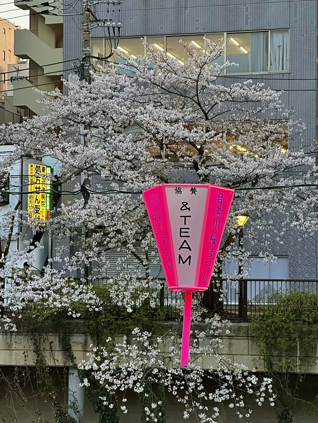 เที่ยวโอซาก้ากันเถอะ🇯🇵