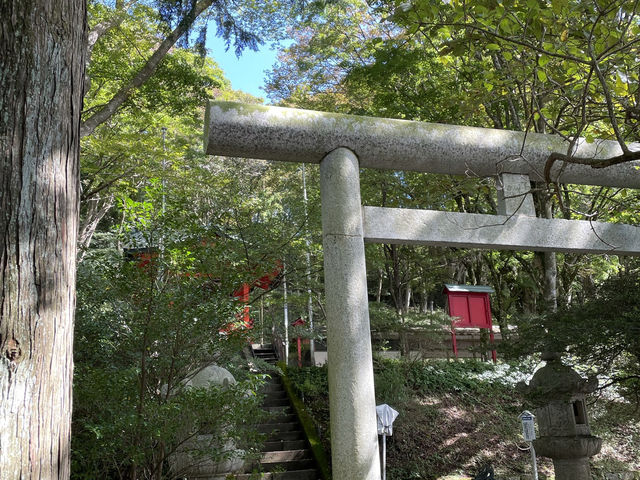 神聖なエネルギーに包まれる、箱根神社＆九頭龍神社へ