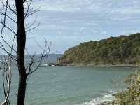 Embrace Noosa National Park