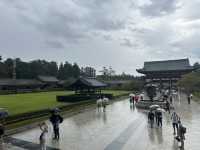 東大寺：在奈良探訪千年古寺，感受佛教文化的莊嚴與美麗！