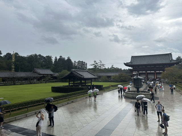 東大寺：在奈良探訪千年古寺，感受佛教文化的莊嚴與美麗！