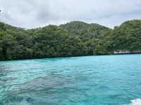Sea passion hotel