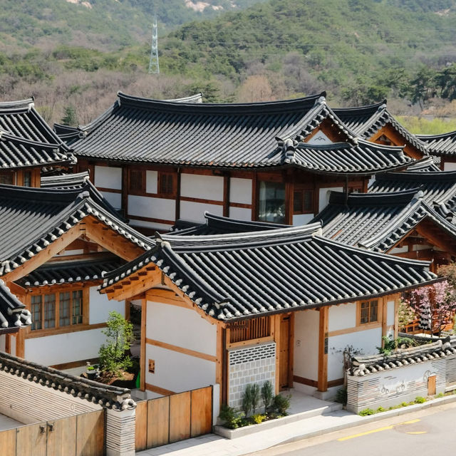 Eunpyeong Hanok Village 🏯🌸