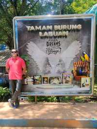 Labuan Bird Park - Various Types Species of Birds in Labuan, Malaysia