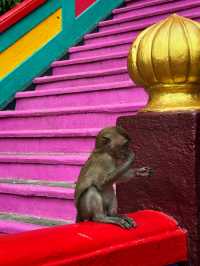 “Where Nature Meets Devotion – Batu Caves”