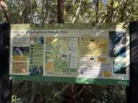 Best of all lookout - The Springbrook National Park