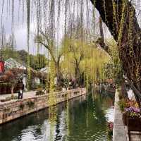 Shanghai to Nanxun Ancient Town Day Trip! 🎟️🛶