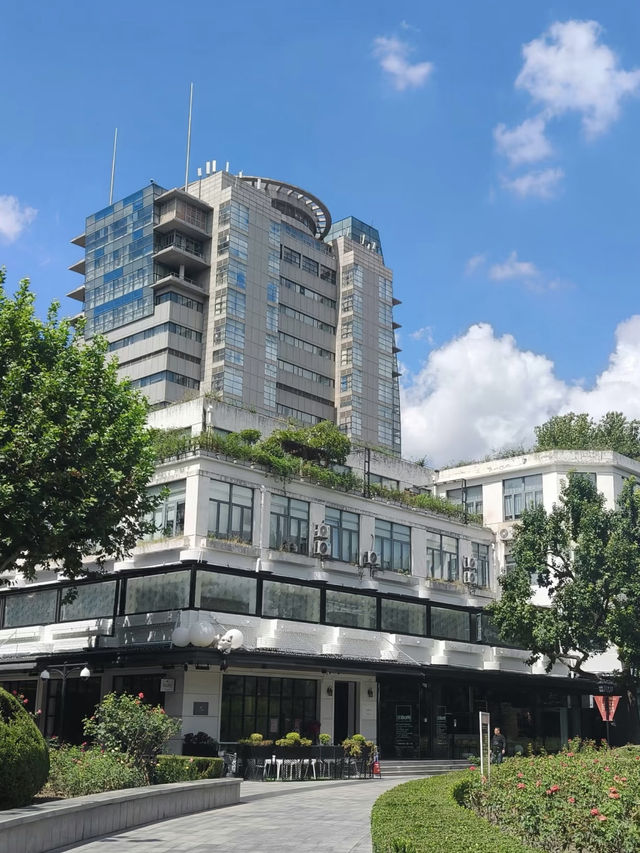 A Serene Retreat in the French Concession: My Visit to Fuxing Park, Shanghai