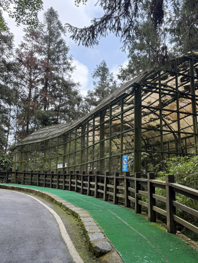 南投鹿谷｜鳳凰谷鳥園