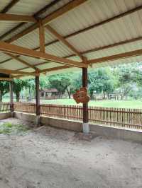 The Killing Fields: A Haunting Reminder of Cambodia’s Past