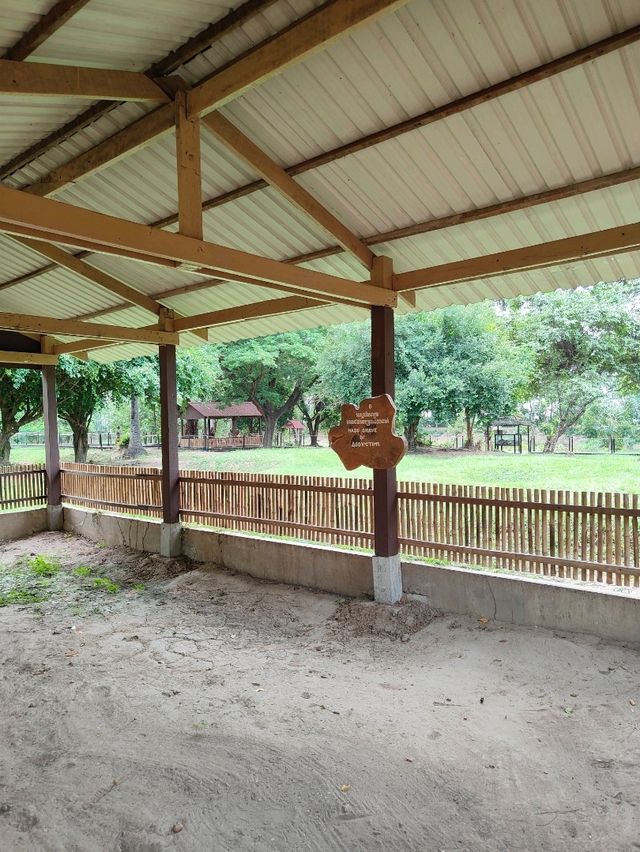 The Killing Fields: A Haunting Reminder of Cambodia’s Past