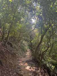 週末去哪裡 ｜ 象山登高望遠野餐趣
