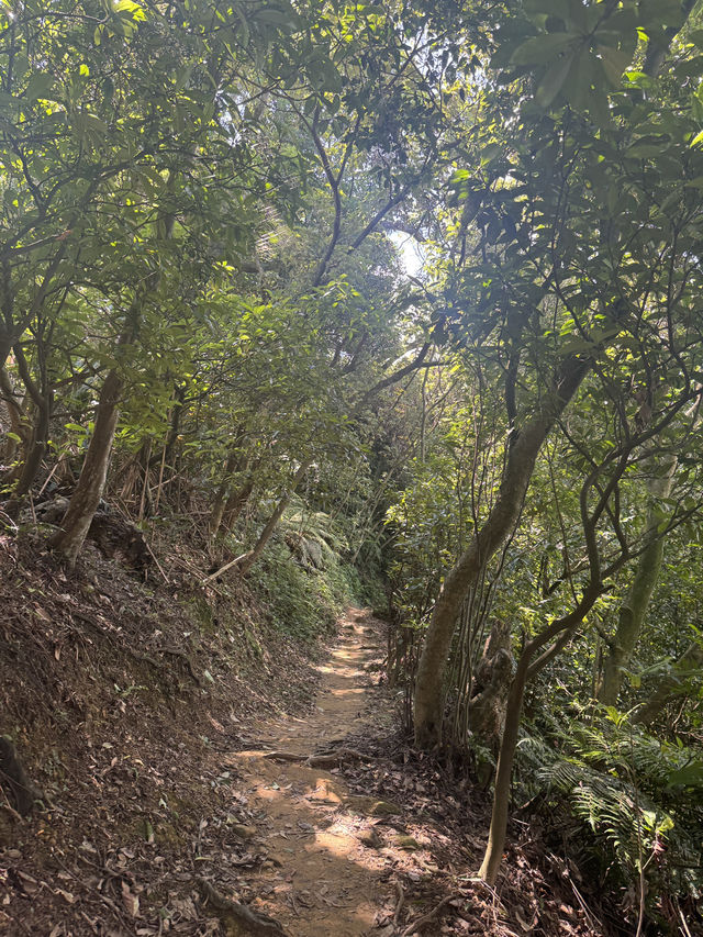 週末去哪裡 ｜ 象山登高望遠野餐趣