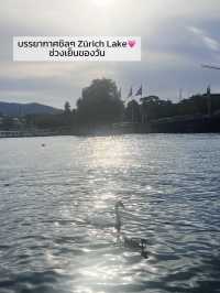 🇨🇭Zürich 1 day trip✨