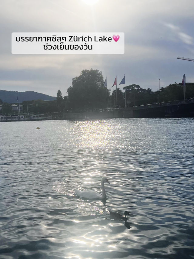 🇨🇭Zürich 1 day trip✨