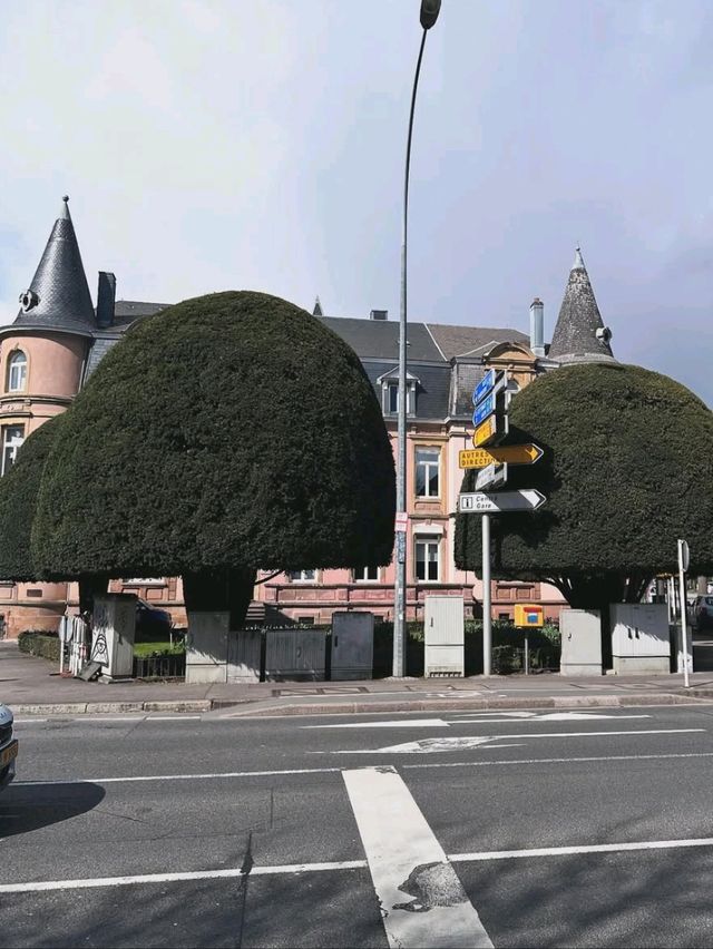 🇱🇺💼 Luxembourg on a Budget: Small Country, Big Win! 🏰✨