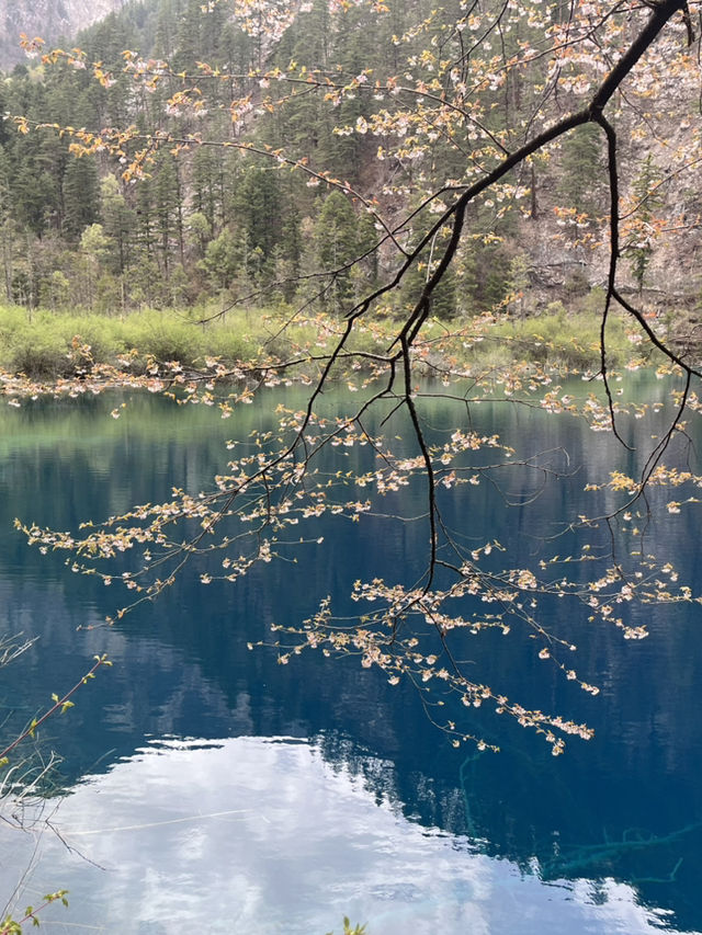 Where waterfalls sing and lakes mirror the sky: Discover Jiuzhaigou