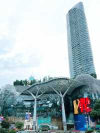 Orchard Road: The Ultimate Stay and Shop Destination in Singapore 