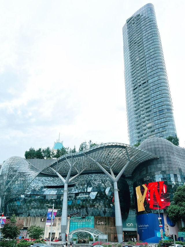Orchard Road: The Ultimate Stay and Shop Destination in Singapore 
